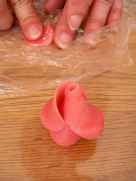 rose7
